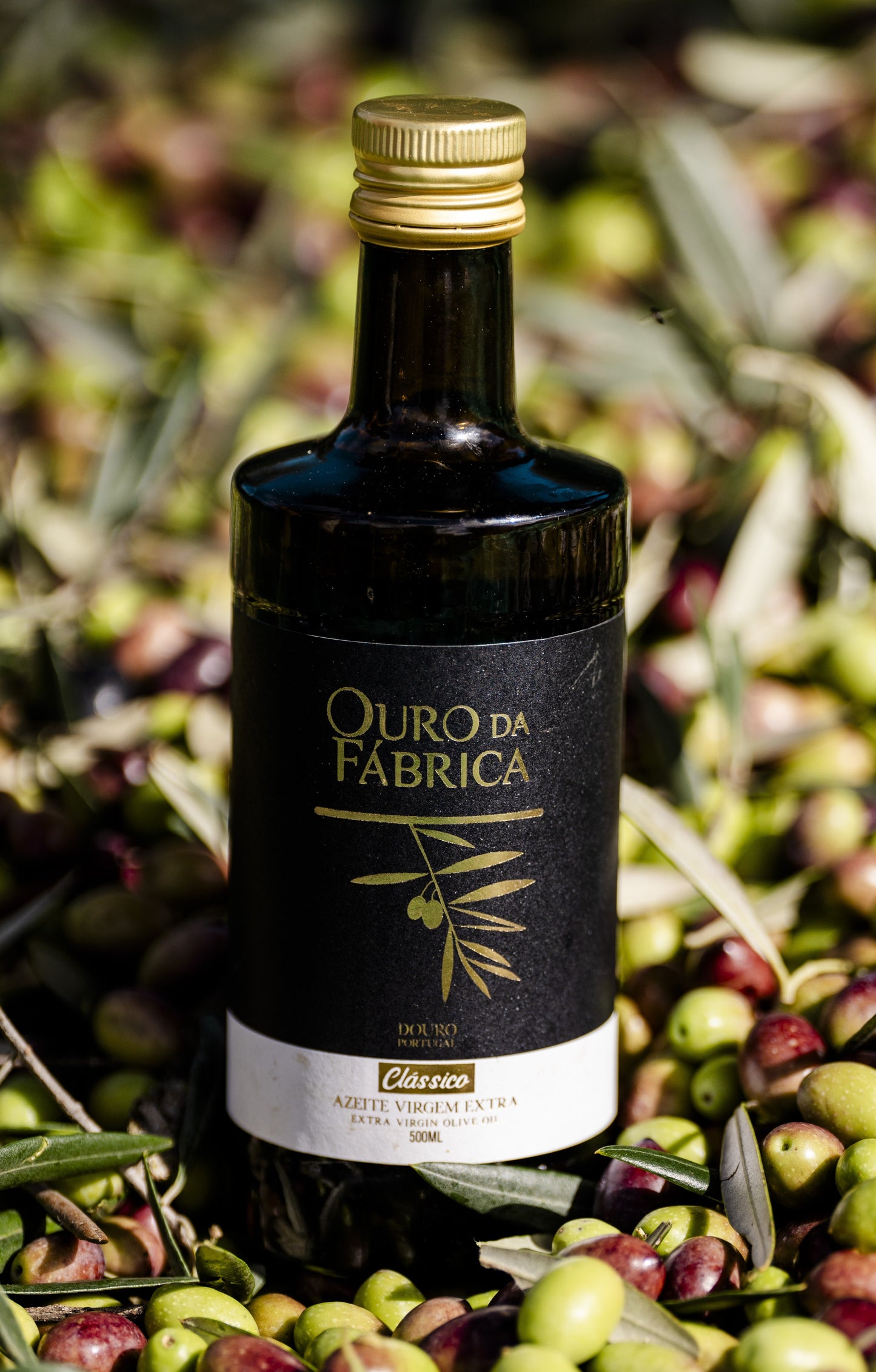 Azeite Virgem Extra – Ouro da Fábrica