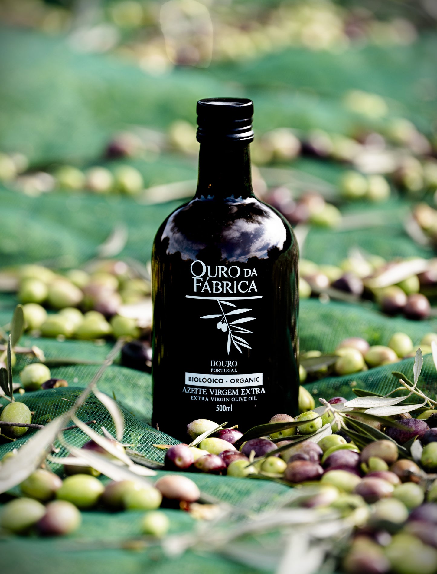 Azeite Virgem Extra Premium – Ouro da Fábrica