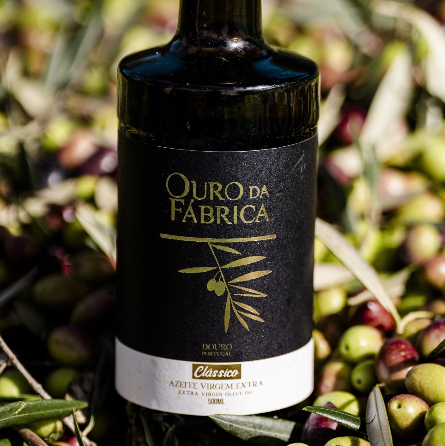 Azeite Virgem Extra – Ouro da Fábrica
