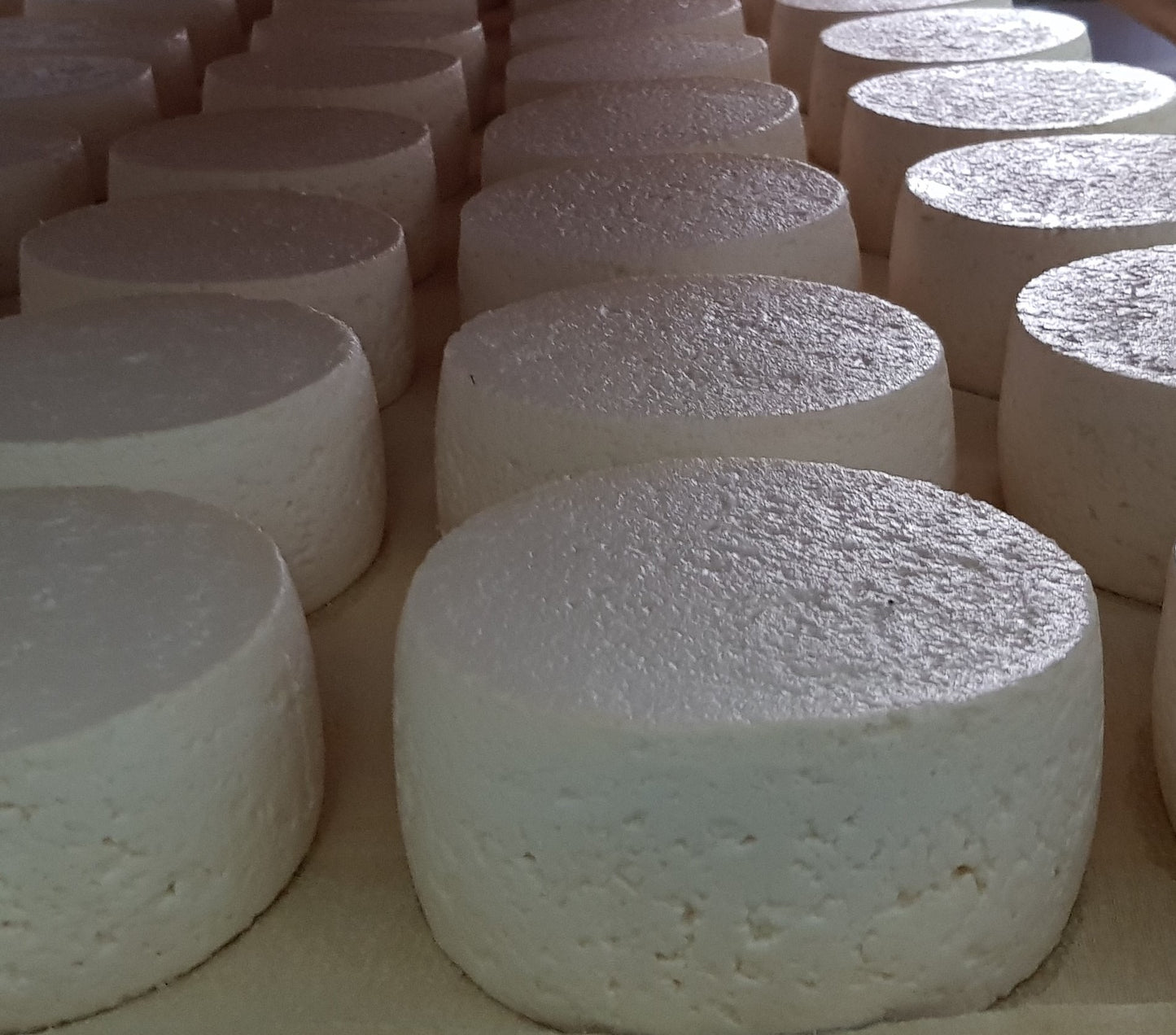 Goat Cheese from Alfrívida - Beira Baixa