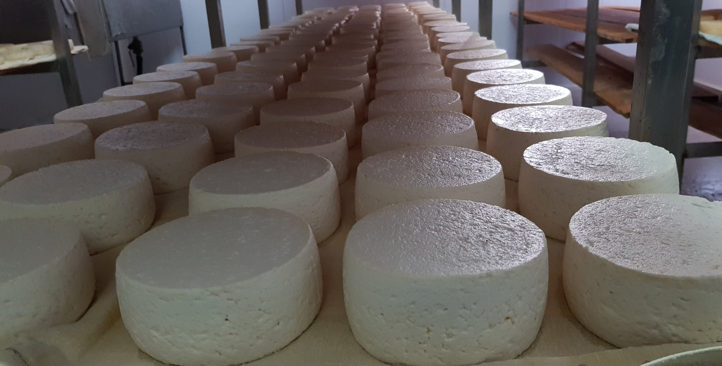 Goat Cheese from Alfrívida - Beira Baixa